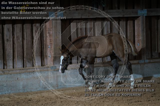 s_K3F04763.JPG